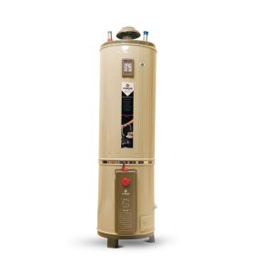 NASGAS GAS GEYSER DG25 GLN DELUX